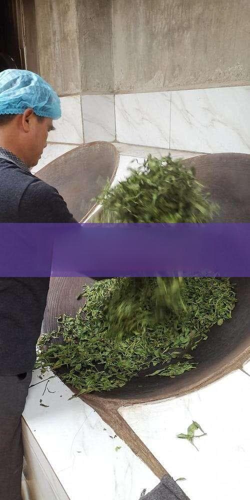 探究黄芪与普洱茶一同泡水的健康益处