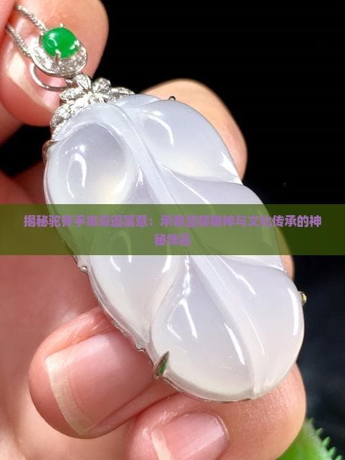 揭秘驼骨手串深邃寓意：承载坚韧精神与文化传承的神秘饰品