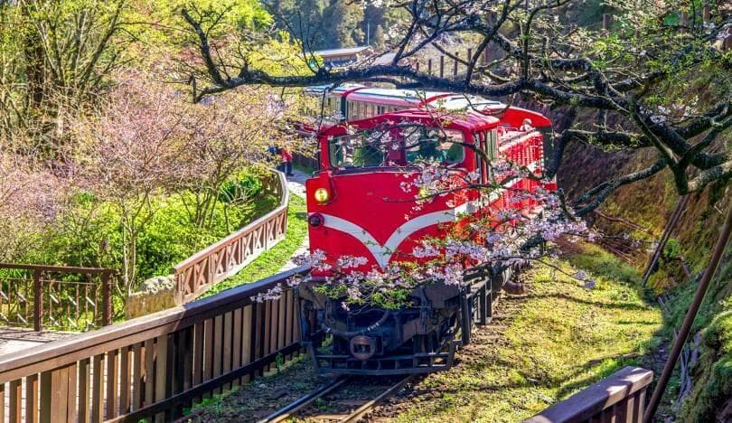 阿里山自由行攻略：最佳行程规划与景点推荐