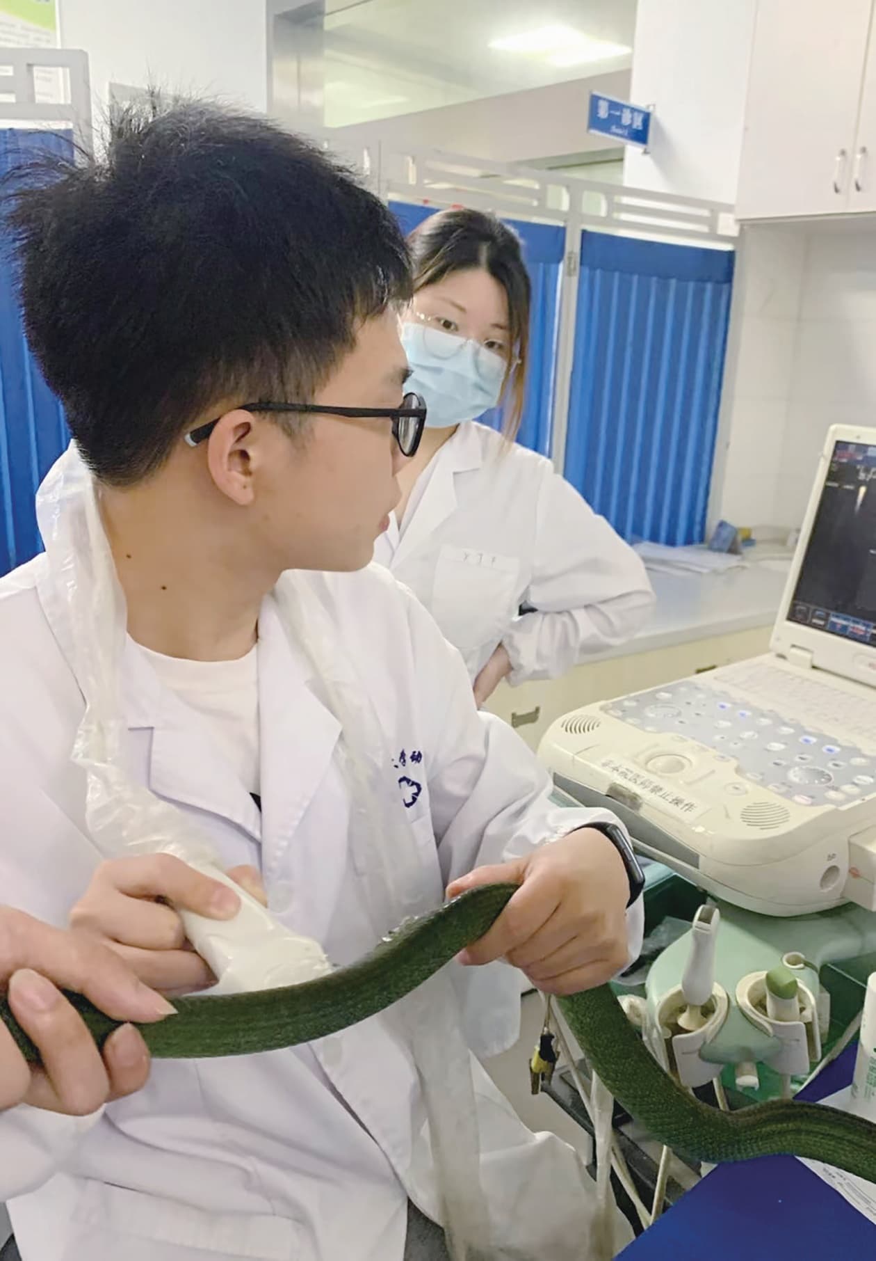 宠物医生，干得越久越吃香