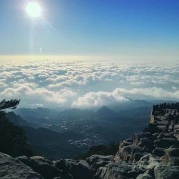 畅游福建武夷山：自助旅行全指南