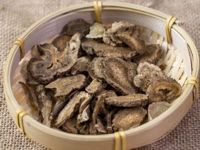 广木香：一种常见的中药材