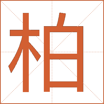 汉字“柏”的详细解释
