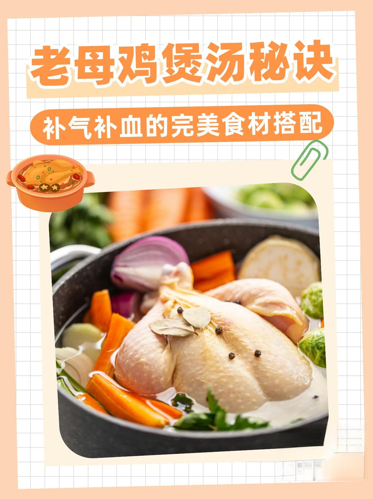 老母鸡煲汤加这6味，补气补血效果好