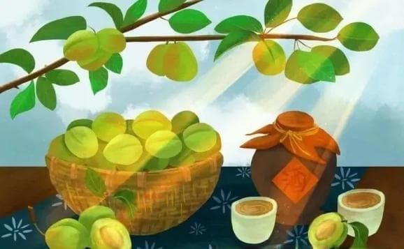 芒种来了！青梅煮酒正当时