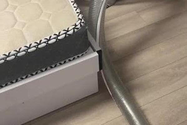 如何自制仓鼠玩具，增强宠物的娱乐和活动性