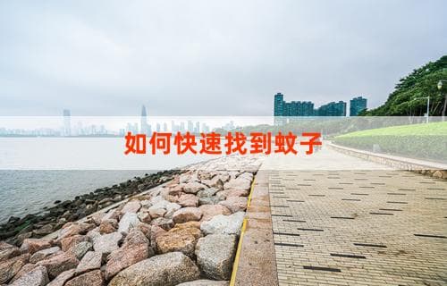 如何快速找到蚊子？实用方法和技巧分享