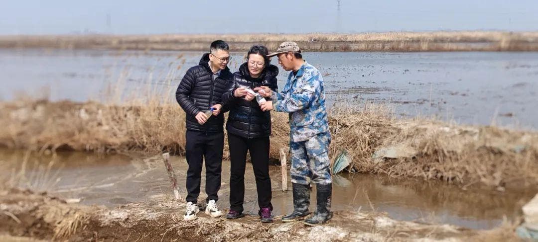 以"渔降盐治碱"，荒置盐碱地成为农民增收"聚宝盆"