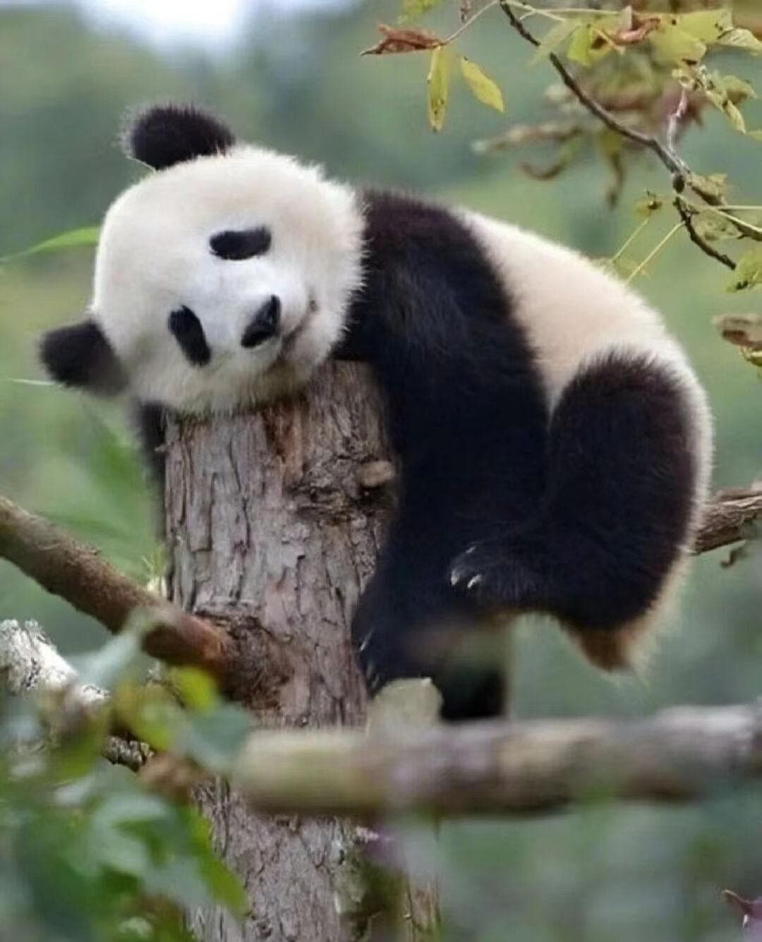 春季运动正当时——这几项运动太适合春天了！