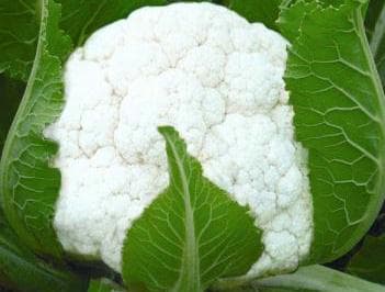 吃花菜有什么好处？花菜的营养价值及功效