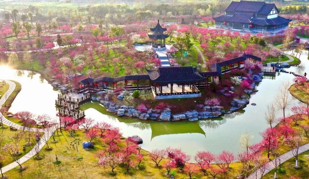 盐城赏花全攻略：九大花卉最佳观赏期与地点