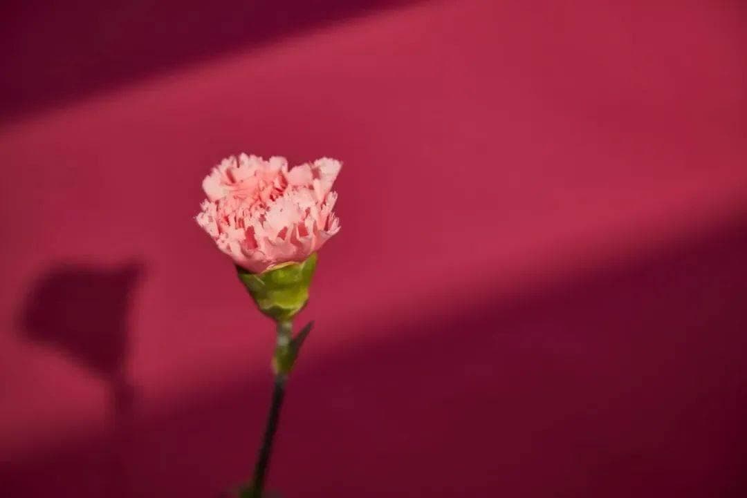 抗衰之道：从 “断崖式衰老” 看中医与生活方式的智慧