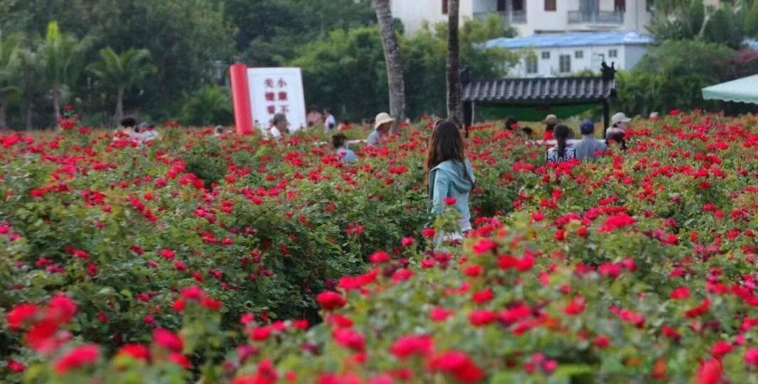 三亚呆呆岛三天游玩预算及攻略：1200元打造完美海岛之旅