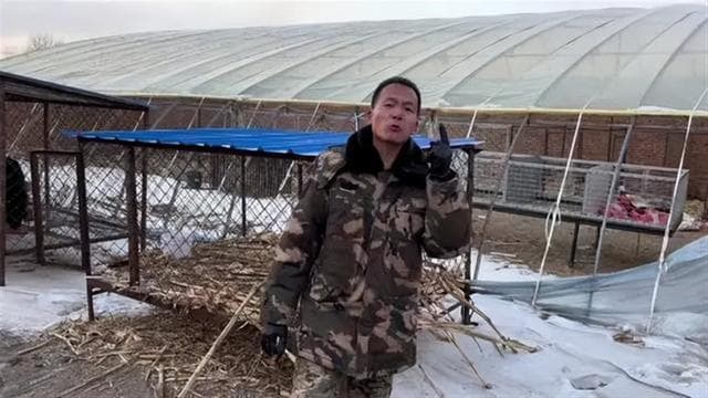 千万网红驯犬师被指虐狗，引发社会对动物权益保护的深度思考