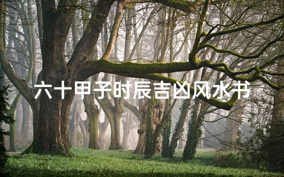 六十甲子时辰吉凶风水书：六十甲子十二时辰吉凶定局