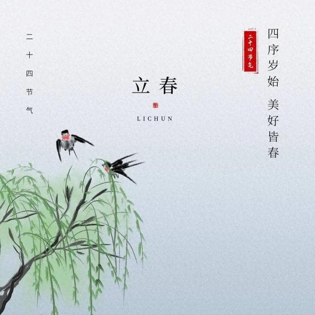 二十四节气里的茶文化︱万物向阳生 春茶吐新绿