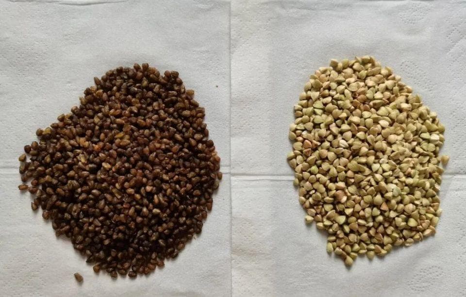 荞麦：控糖降压的养生谷物