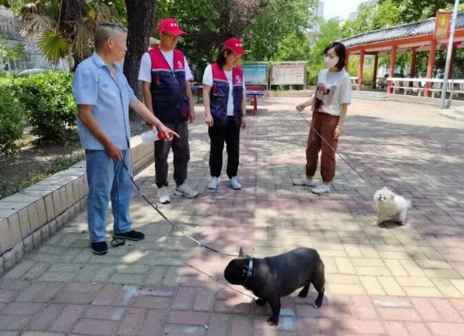 爱“宠”有方 让城市更美好