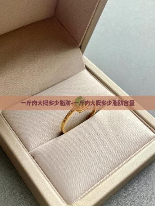 一斤肉到底有多少脂肪？不同肉类脂肪含量大揭秘