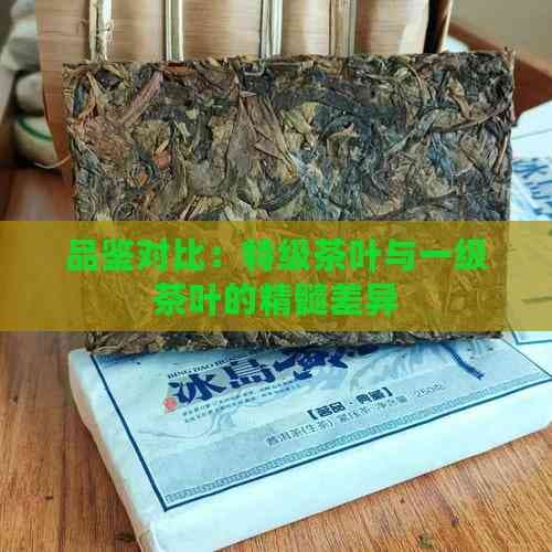 特级茶叶与一级茶叶：品质差异全解析
