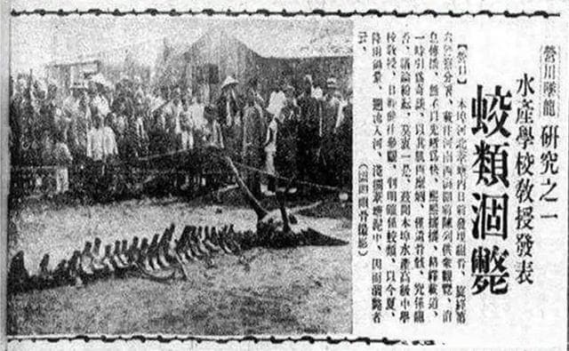 龙真实存在过吗，有没有物理和生物学的合理性解释？
