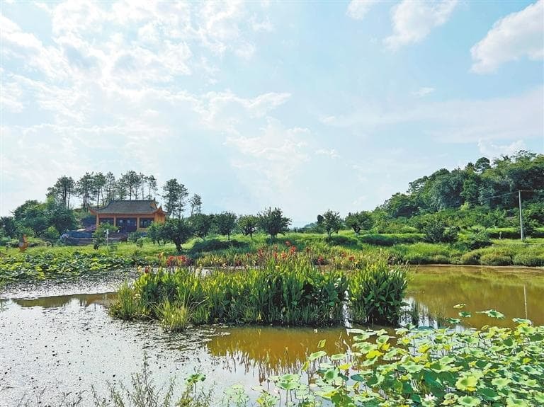 南丰县推进湿地资源运营机制改革：荒地成湿地 生态变红利