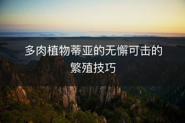 多肉植物蒂亚的无懈可击的繁殖技巧