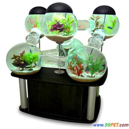 家庭水族箱的选择方法（图）
