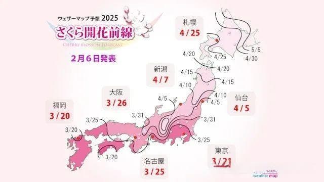 2025日本樱花最新预测：福冈、东京3.20起抢先开放，十大赏樱热点不容错过