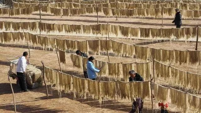 粉条里有没有明胶，打火机烧一烧就知道，再也不怕买到假粉条