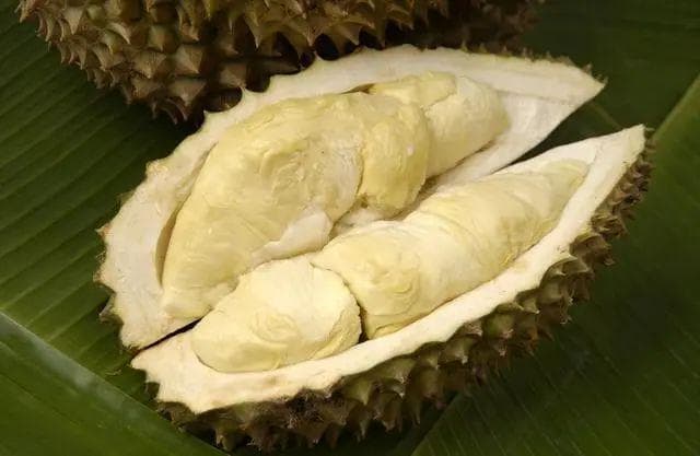 一个榴莲大概多少斤？揭秘榴莲重量之谜