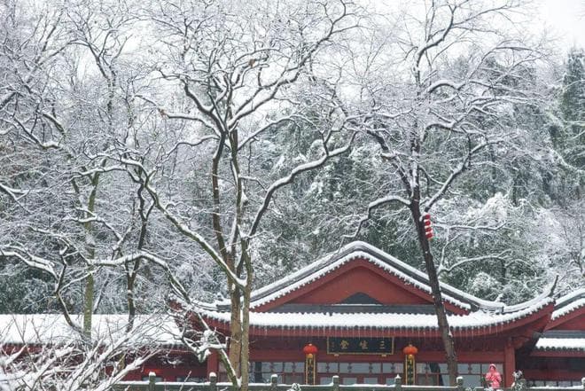 10首春雪诗词，庭树飞花，东风新暖，浪漫了整个春天