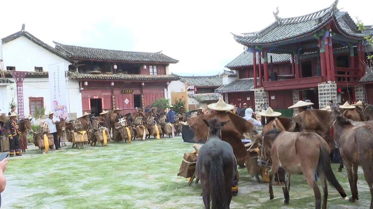 云南凤庆：重走茶马古道唤醒文化遗产保护意识