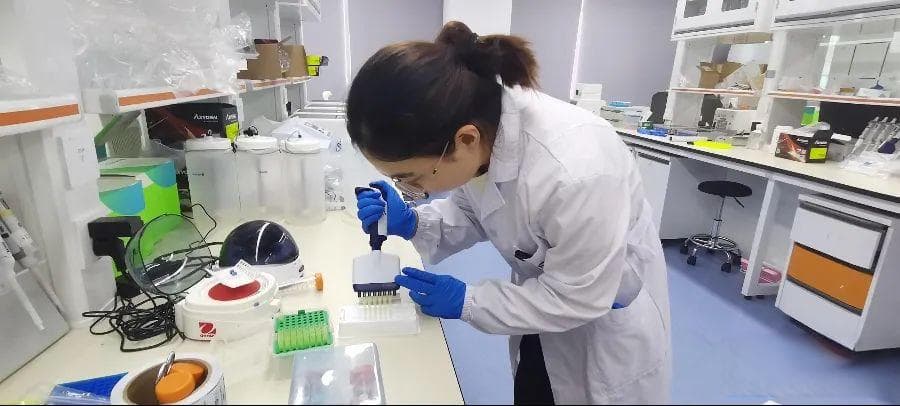 这只鲨鱼有何特别之处？能成为这项研发的“关键角色”
