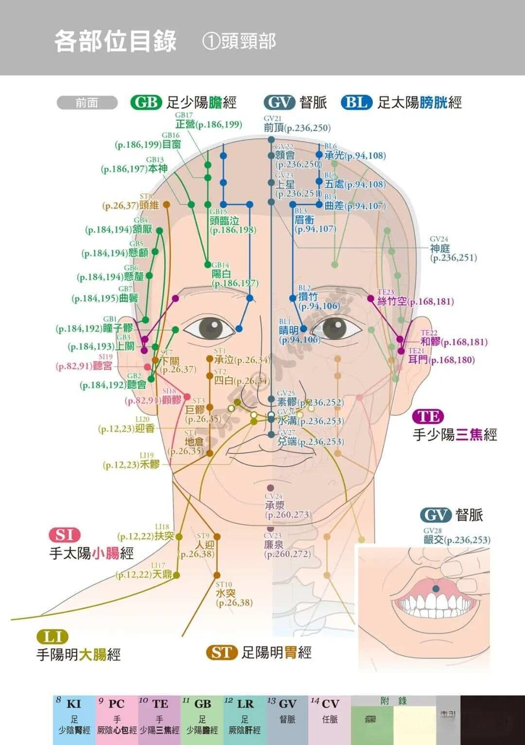 【经穴科学】中医解剖学全身穴位高清图示①