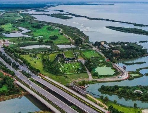 合肥滨湖湿地公园：城市绿肺里的生态乐园