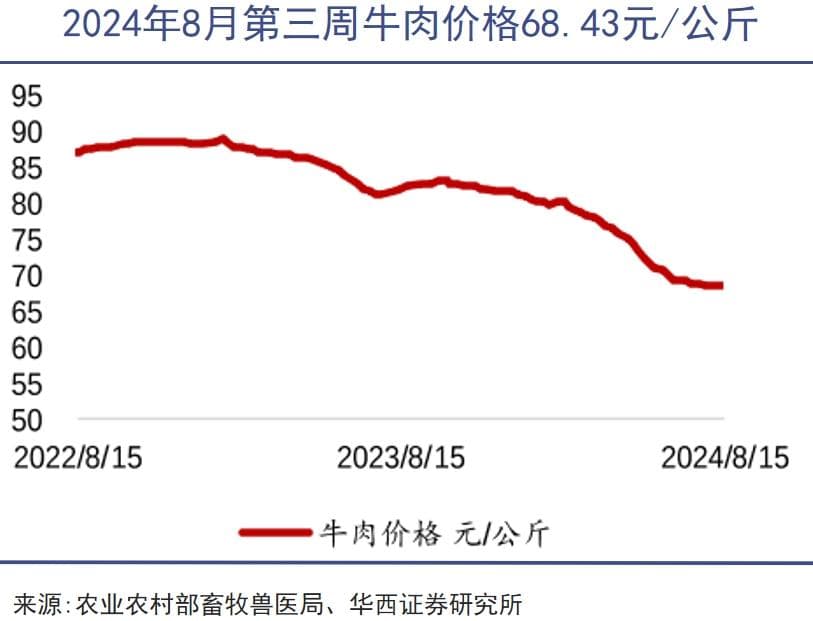 进口农产品，让中国农业压力山大
