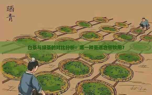 白茶与绿茶的对比分析：哪一种更适合您饮用？