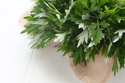艾草热敷：冬季养生的便捷之选，缓解疼痛效果佳