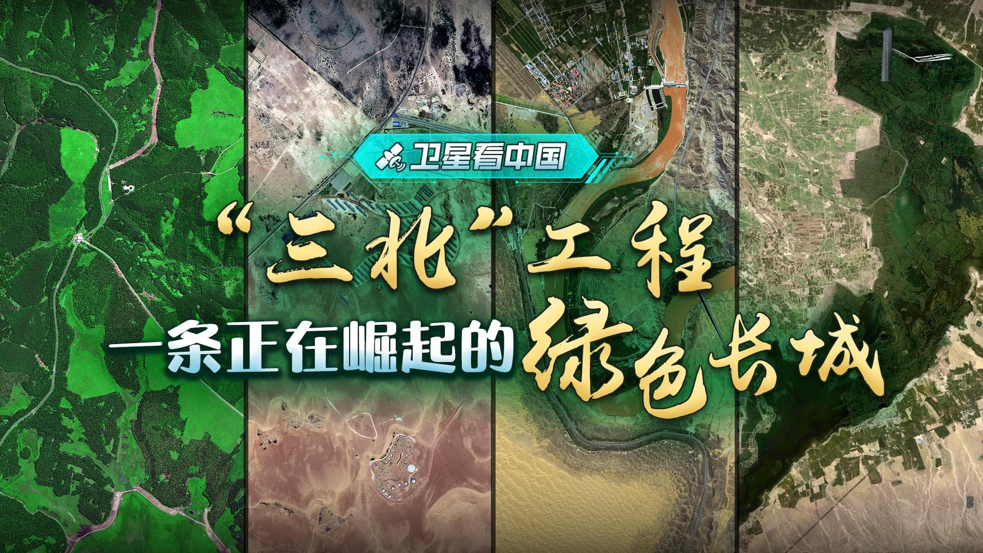 “三北”工程，一条正在崛起的绿色长城