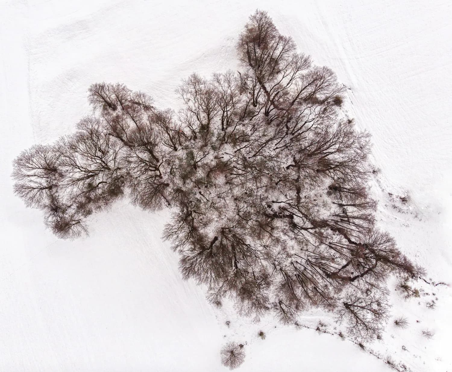 冬季最美雪景打卡地，你Pick哪一个？