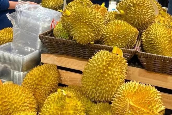 榴莲产量高，为什么还卖那么贵？4个原因揭秘