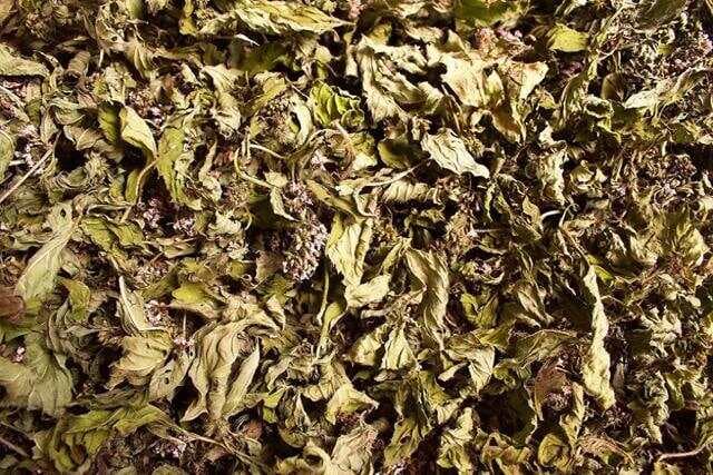 霜桑叶：用途太广，连古人都没真正看透它，给你增添一个新知识点