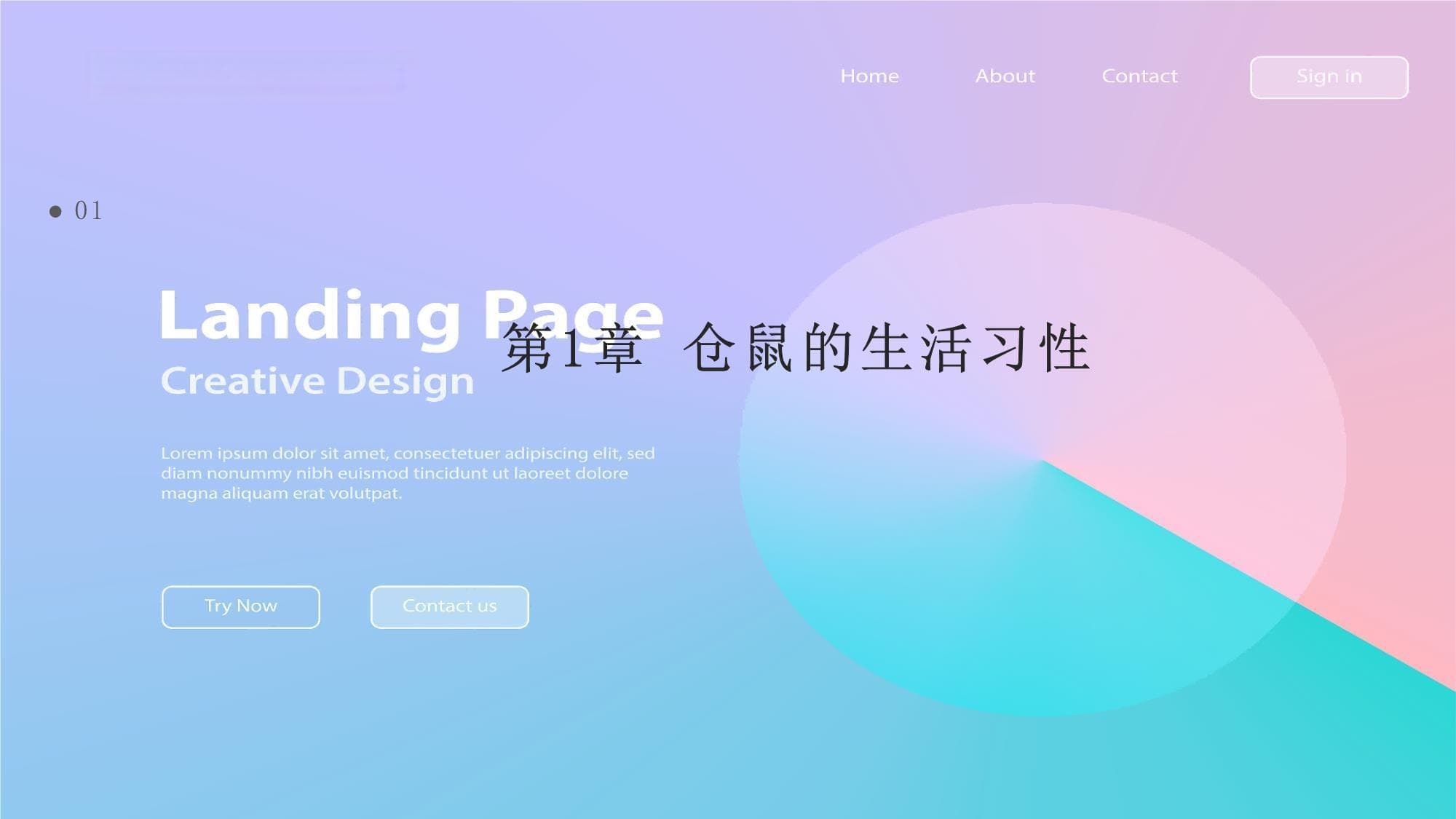 仓鼠的行为研究报告