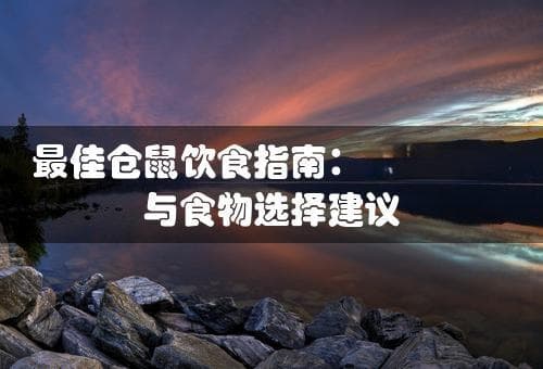 最佳仓鼠饮食指南：健康喂养与食物选择建议