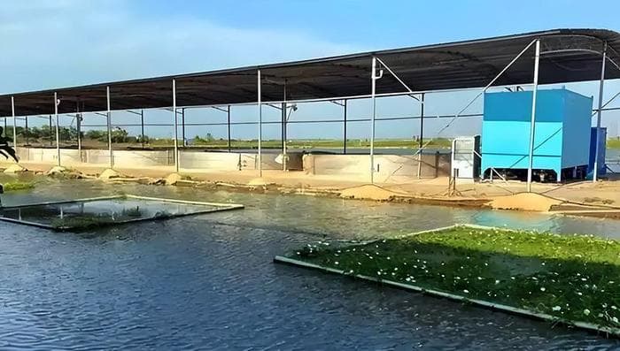 池塘养殖水质调控尾水生态治理关键技术取得突破