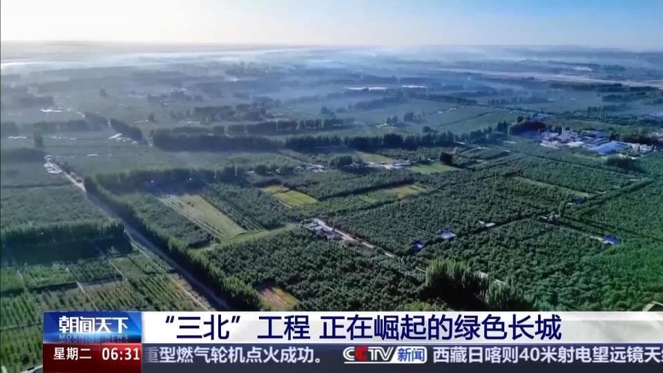 “绿色长城”正在崛起！揭开“三北”工程建设密码