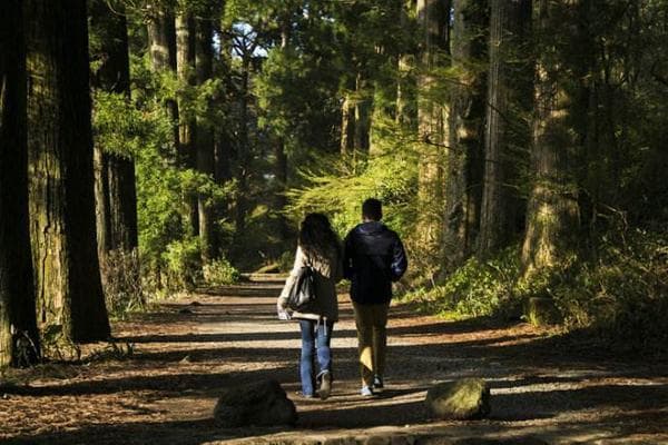 如何应对女朋友生气：理解情绪、沟通、道歉与关心
