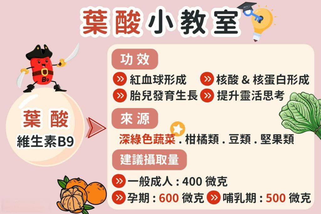 5大叶酸功效介绍，食物有哪些？什么时候吃？有副作用吗？