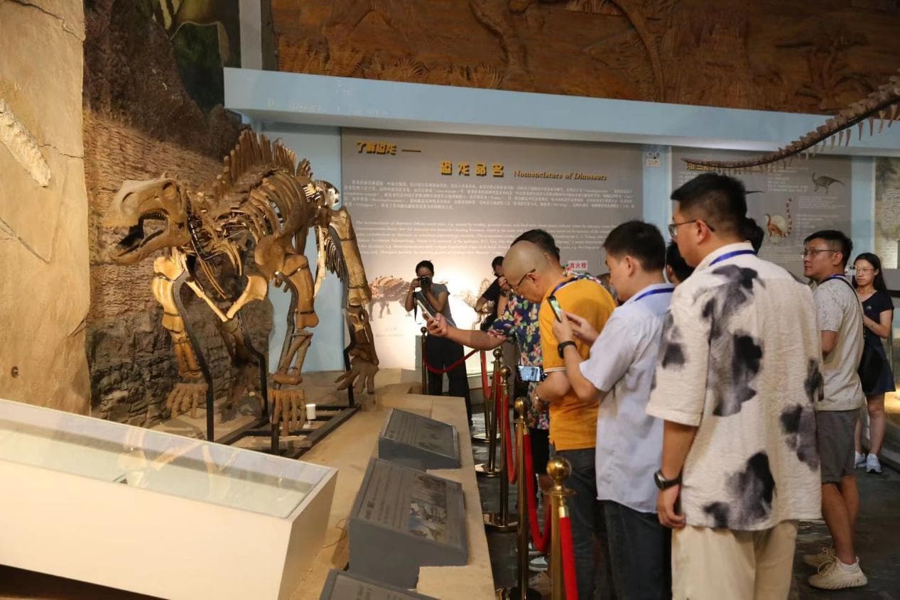 朝阳鸟化石国家地质公园：在“古生物的摇篮”探索史前世界